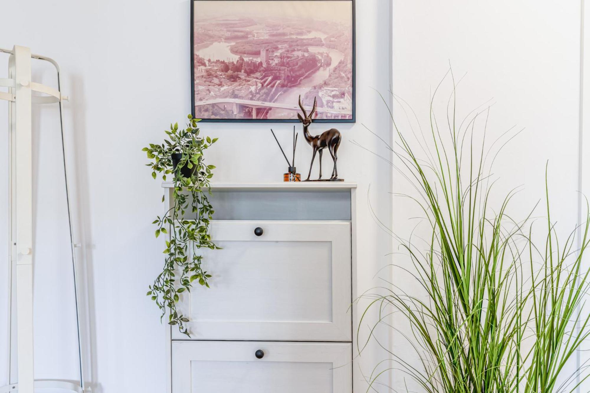 Sunshine Haven - M&n Apartment *